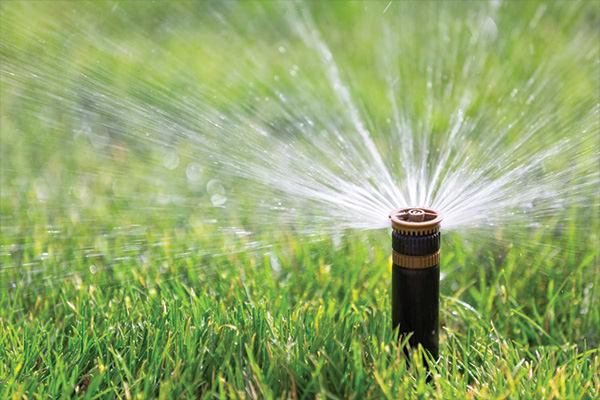 Irrigation Servies